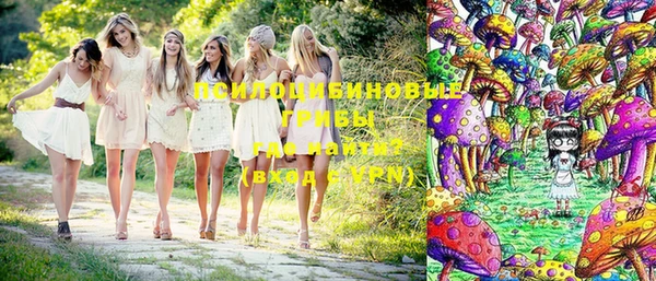 хмурый Алексеевка
