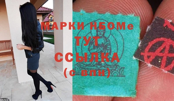 прущие грибы Алексин