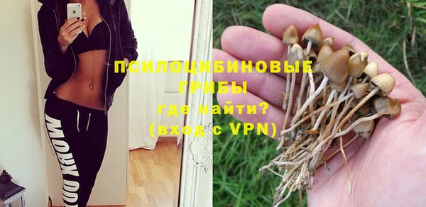 хмурый Алексеевка