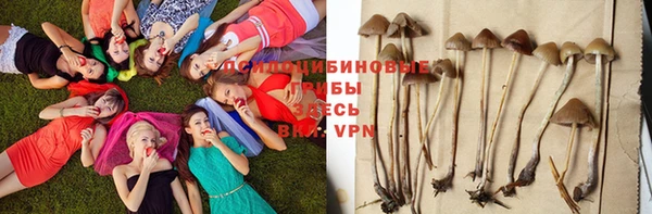 экстази Алзамай