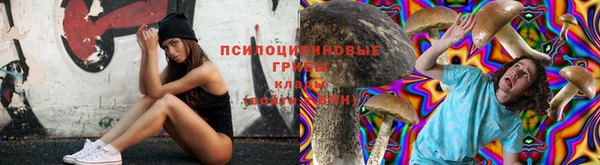 прущие грибы Алексин